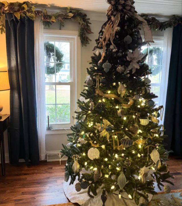 Our house is decked out in festive greens, all set for a joyful Christmas Day filled with gift-giving and feasting with loved ones. Feeling grateful for the blessings and memories this home brings to our family. Appreciate the opportunity to be part of yours this year. Wishing you a serene and delightful holiday season!